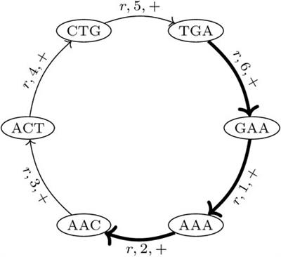 Fully automated annotation of mitochondrial genomes using a cluster-based approach with de Bruijn graphs